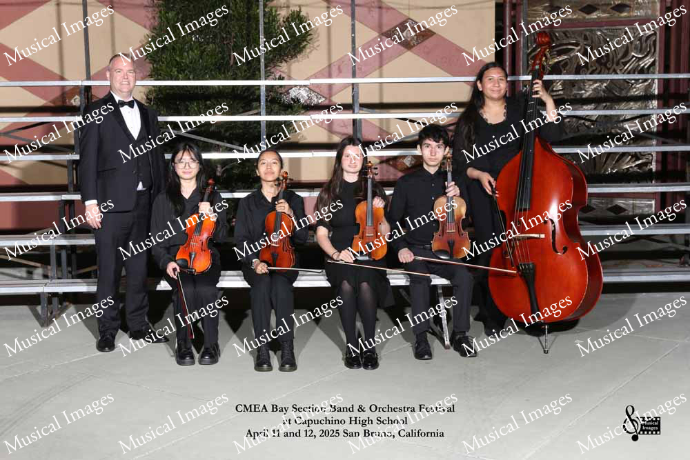 Musical Images